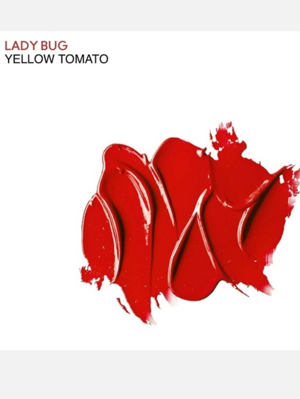MAC Cosmetic Lady Bug 510 Lustre Lipstick - Picture 4 of 15